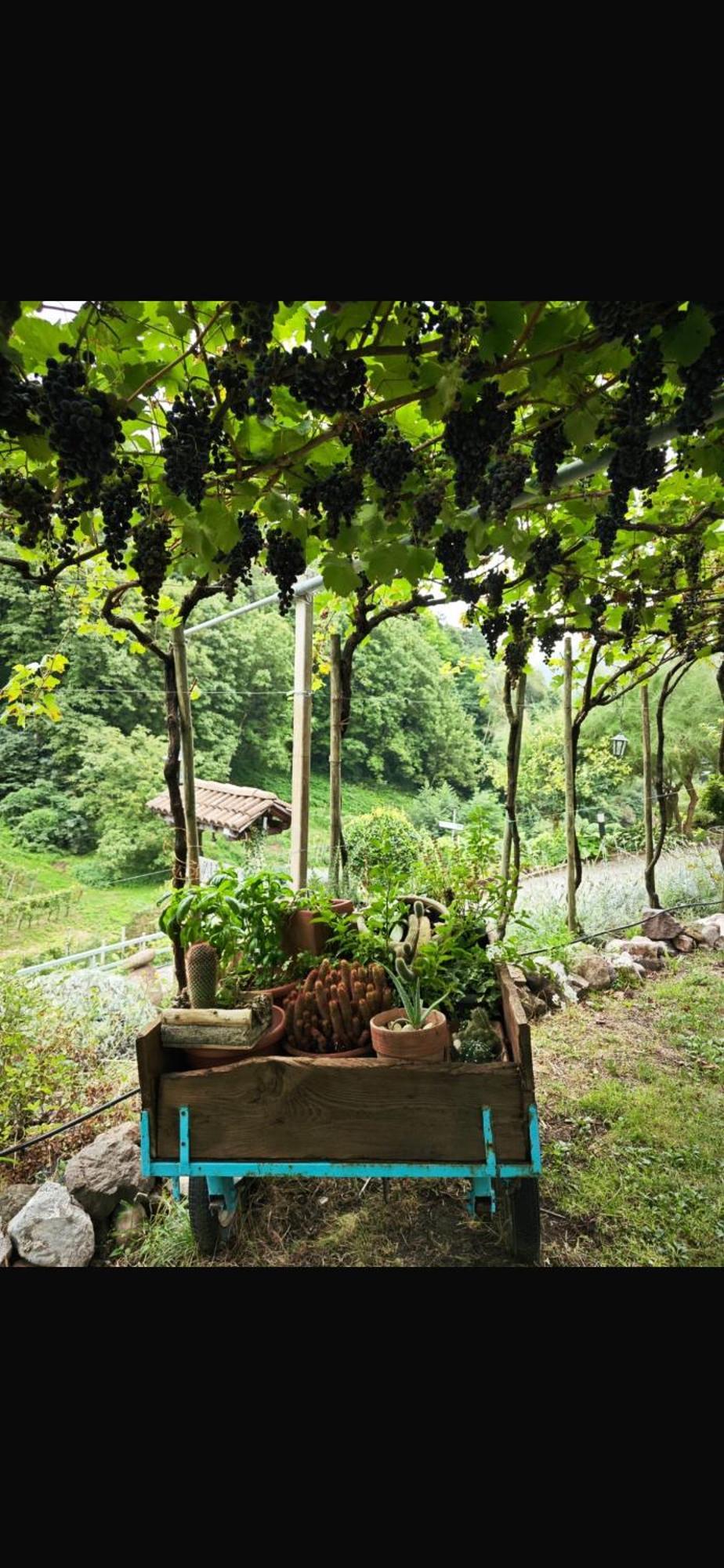 צ'מברה Agriturismo Valfraja מראה חיצוני תמונה
