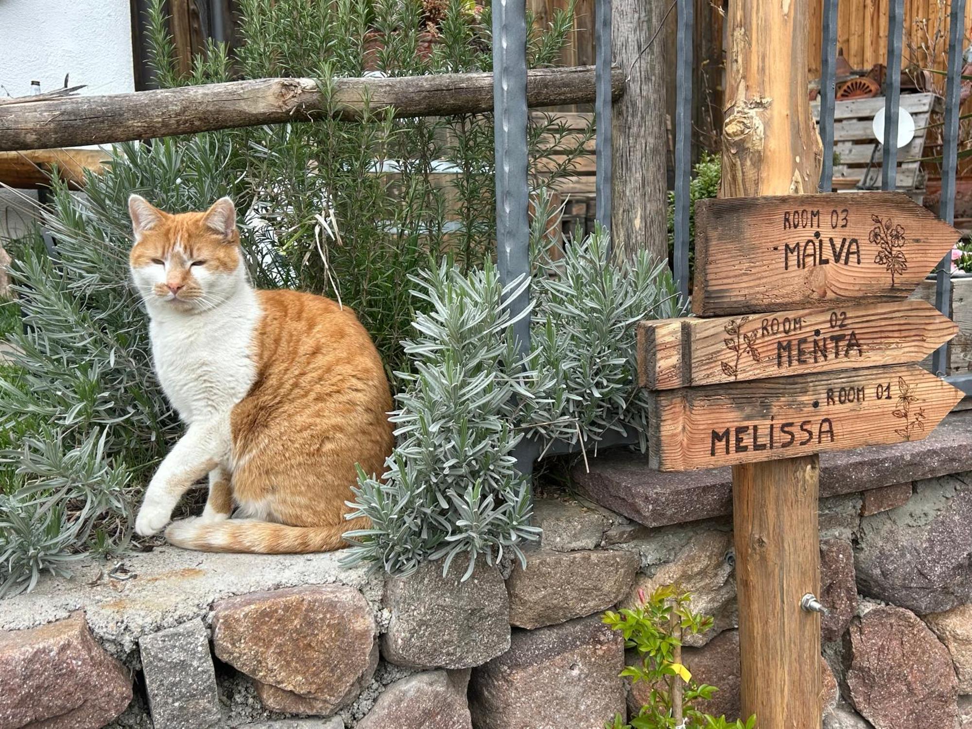 צ'מברה Agriturismo Valfraja מראה חיצוני תמונה