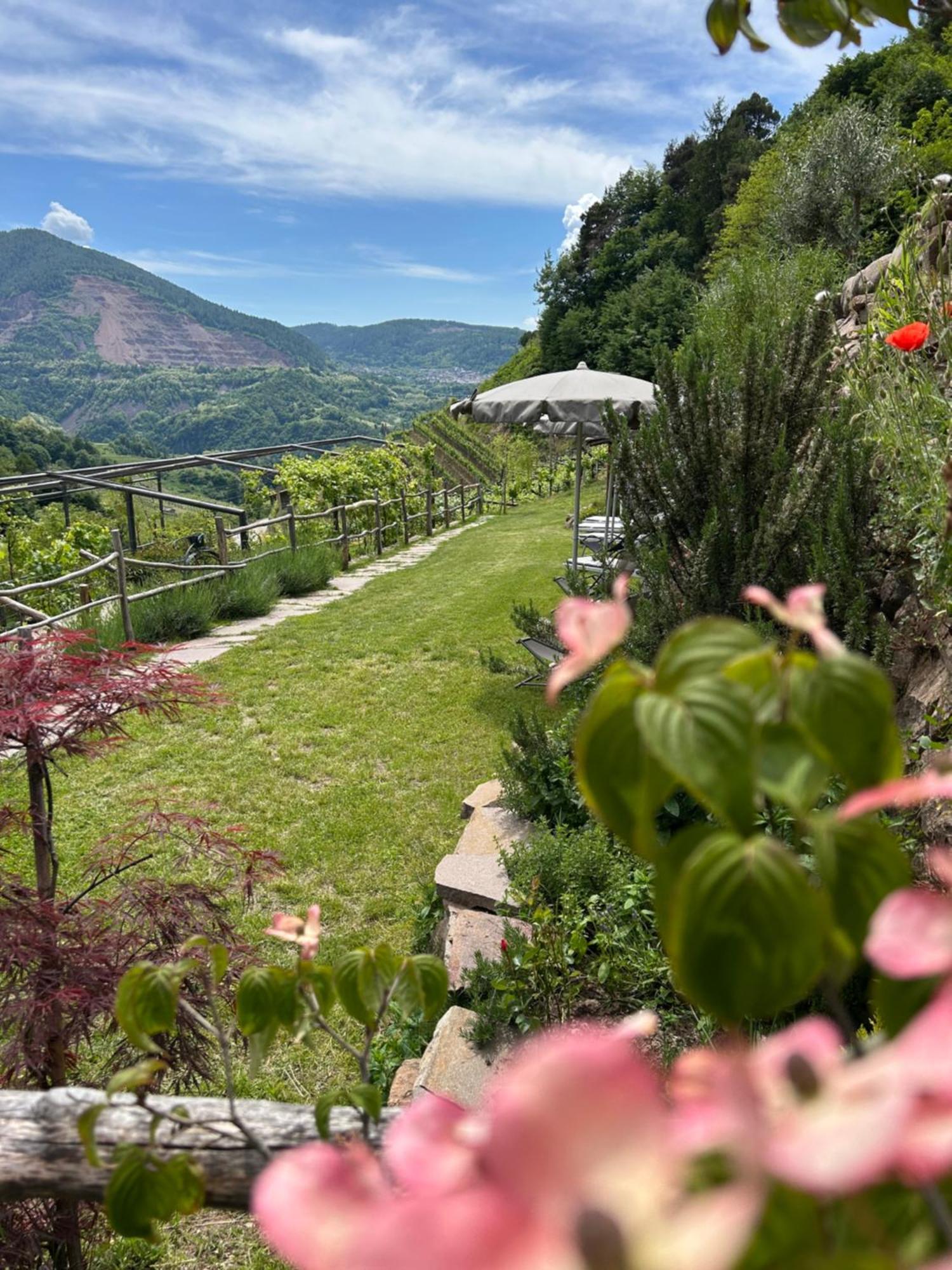 צ'מברה Agriturismo Valfraja מראה חיצוני תמונה